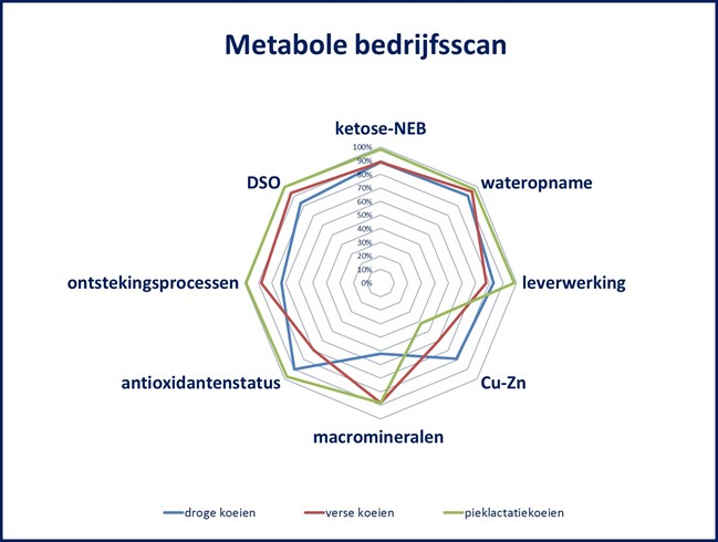 Metabole bedrijfsscan webdiagram